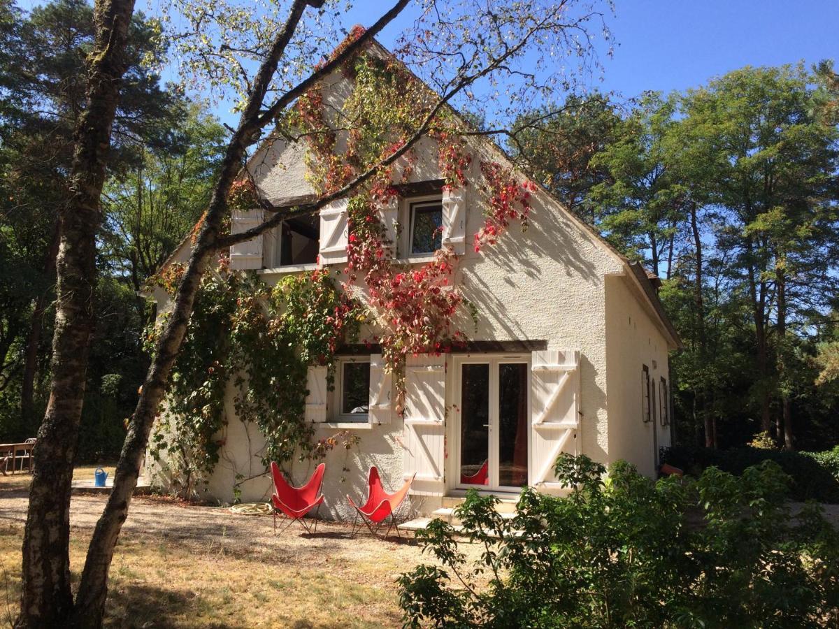 Chambres Au Coeur Du Massif Des Trois Pignons Noisy-sur-Ecole 外观 照片