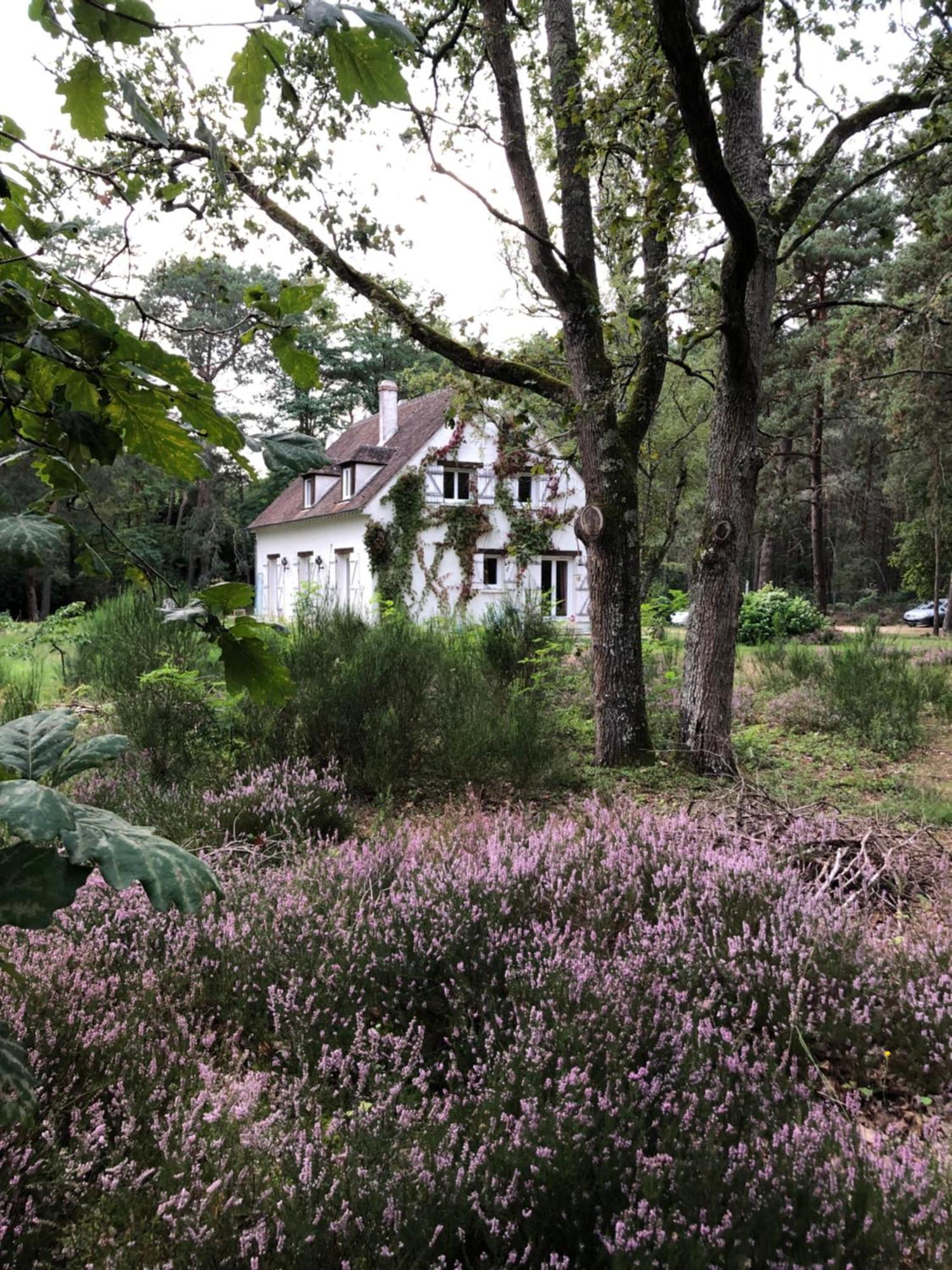Chambres Au Coeur Du Massif Des Trois Pignons Noisy-sur-Ecole 外观 照片